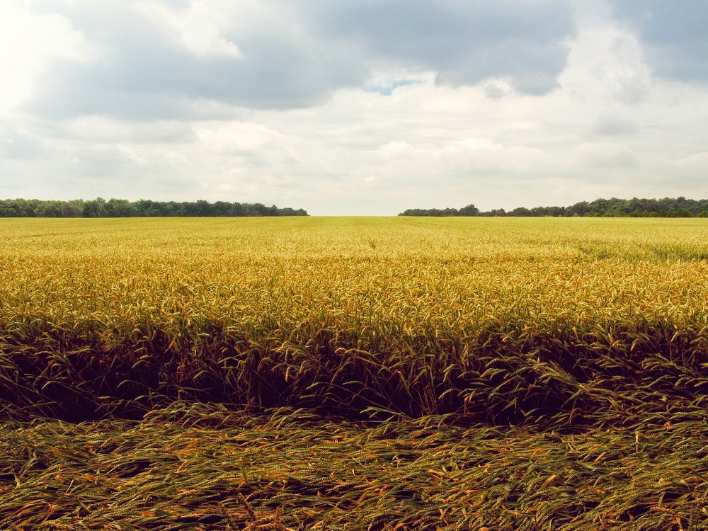 Reading for Friday 9-18-2015