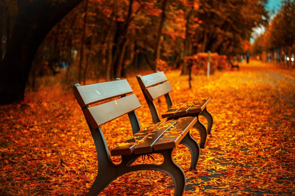 Reading for Monday 10-19-2015