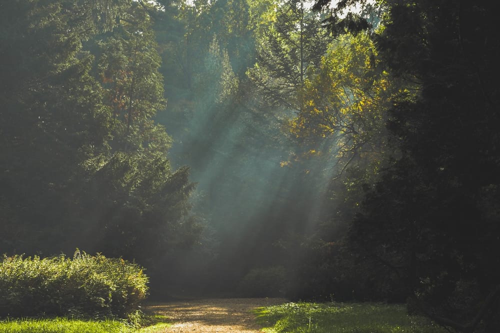Reading for Wednesday 12-09-2015