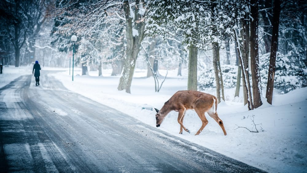 Readings for the Week of 12-20-2015